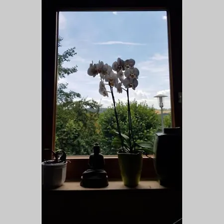 Mit Esprit Und Naturnahe